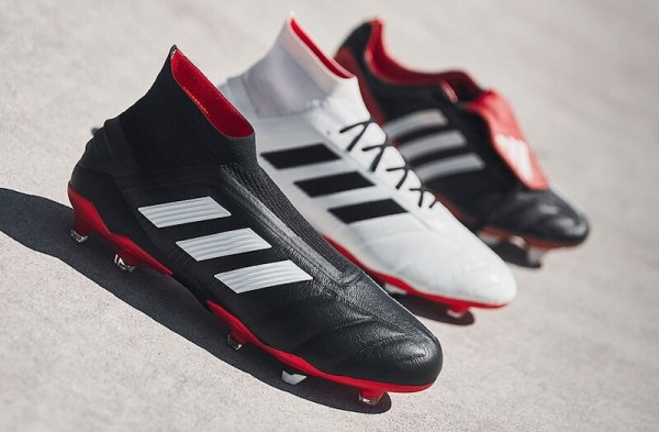 PREDATOR MANIA 19.1 TR プレデターマニア19.1 25Y プレデターマニア19+ & プレデターマニア19.1 FG 正式公開 (12月