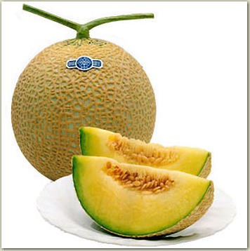 美味しいメロンの見分け方 マウスもにぎる大将のblog