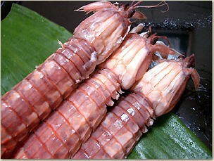 シャコ 蝦蛄の美味しい季節です マウスもにぎる大将のblog