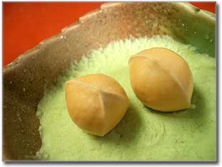 銀杏には雄雌がある ぎんなんのオス メスの違い マウスもにぎる大将のblog