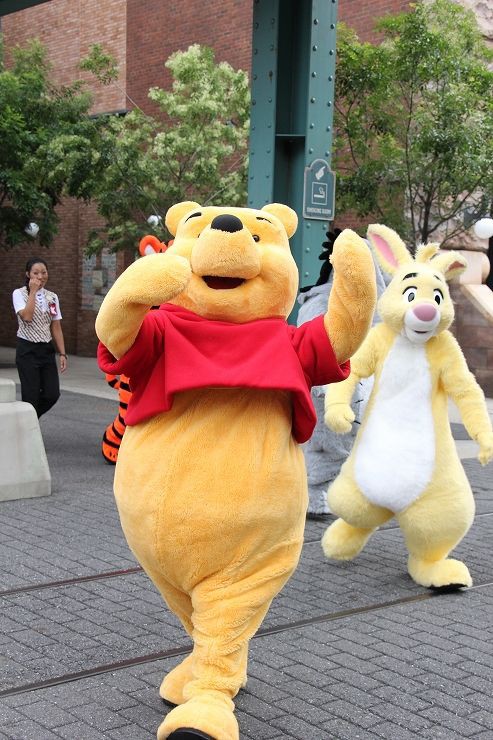 【未使用】 ディズニーシー ケープコッド プーさん Cape Cod Pooh CAPE COD POOH くまのプーさん ディズニーシー ケープコッドプー
