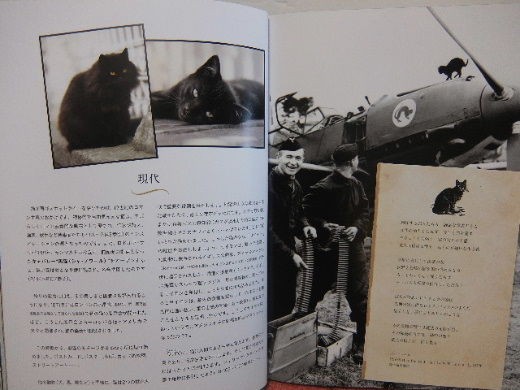 残酷と幸福の猫たちの歴史 魅惑の黒猫 元日本橋女社長の奮闘ブログ