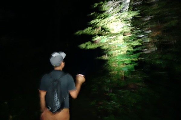 真夜中のジャングル ここから歩いてみよう