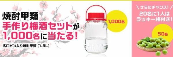 焼酎甲類 手作り梅酒セットが抽選で1000名に当たる！6/17まで : ねとこじ！