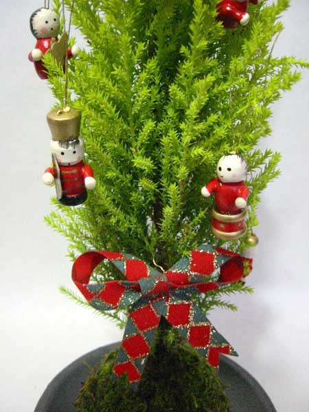 苔玉 クリスマスツリー 赤 苔玉は 苔玉屋blog 苔玉 クリスマスツリー 赤 苔玉は 苔玉屋blog