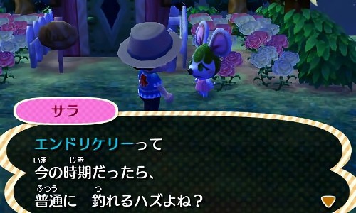 とび森 みんなで夜遊び ふらふら滞在記 あつ森 とび森ブログ