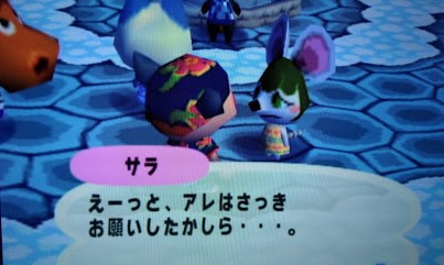どうぶつの森e 体験記12 初詣 ふらふら滞在記 あつ森 とび森ブログ