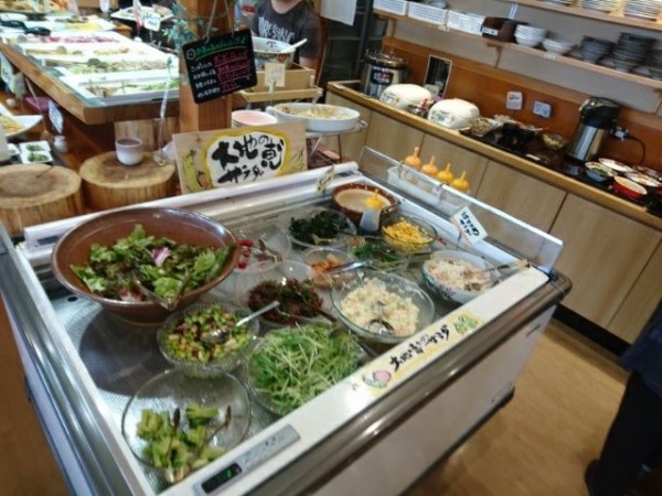 新料金 松元お茶の里バイキング はるやま農園食堂 お茶の花 鹿児島でおすすめの美味しいお店 ラーメン 焼肉 ランチetc