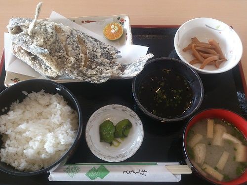 道の駅長島 海鮮味処 魚島 のありえない600円定食 鹿児島でおすすめの美味しいお店 ラーメン 焼肉 ランチetc