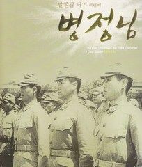 兵隊さん ねこむすめのブログ