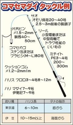 コマセマダイの仕掛け フグとマダイと時々タチウオ