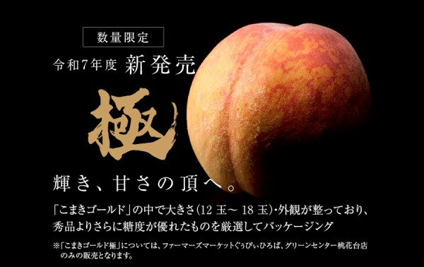新品種の桃『こまきゴールド』の出荷が6/19(木)からスタート。今年は