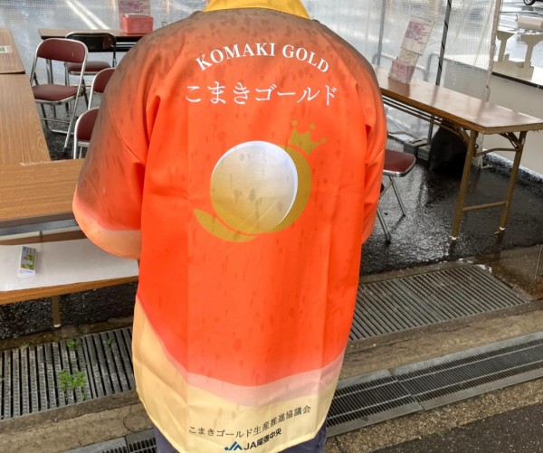 こまきゴールドをさっそく食べてみた。6月下旬に初の販売を迎えた新