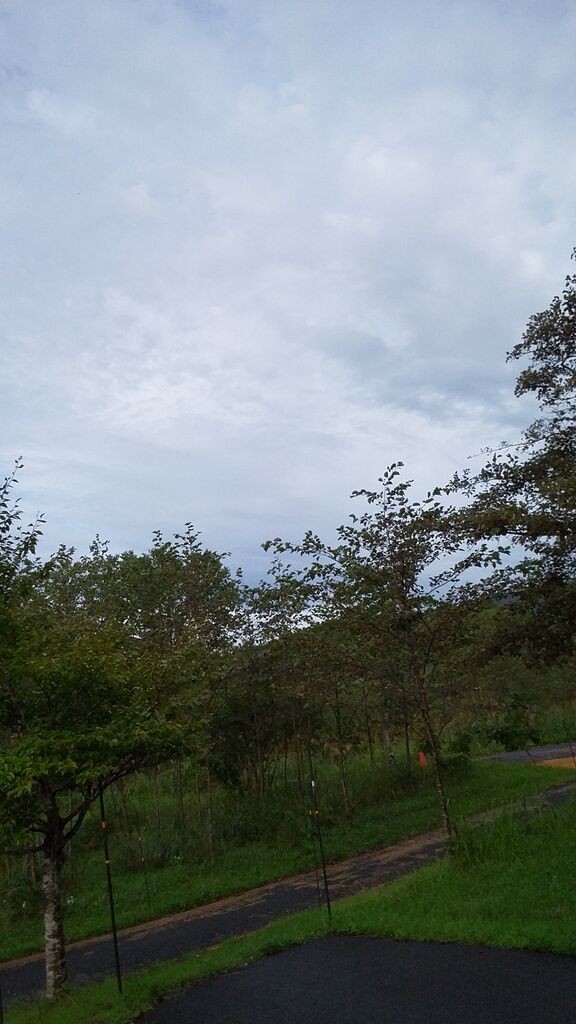 10日 曇りのち雨 休業しています 森の温泉 駒の湯温泉通信
