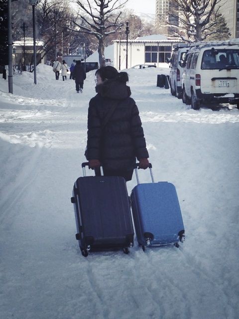 札幌 雪道 スーツケース コレクション