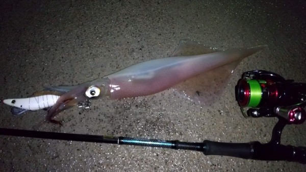 冬のヤリイカ釣行 Fishing Noob Salt Game In 上越 冬のヤリイカ釣行 Fishing Noob Salt Game In 上越