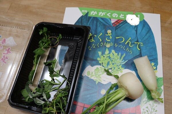 春の七草 現物と対応できないときに読む絵本かがくのとも ななくさつんで きゅうきゅう