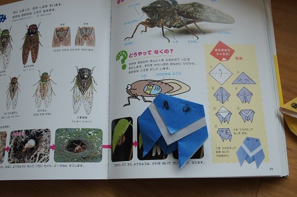 学研ふれあいしぜん図鑑 子供幼稚園児向け図鑑を買う感想レビュー きゅうきゅう