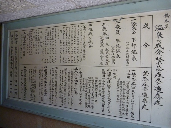 山梨県 下部温泉 橋本屋 混浴温泉data