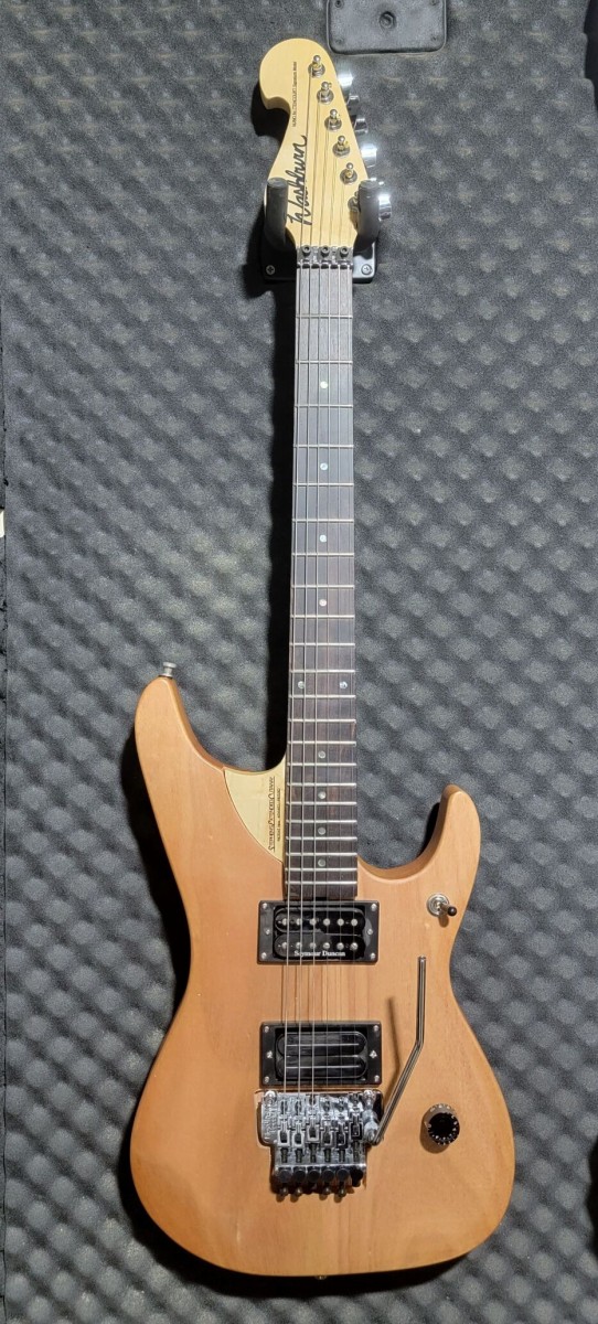 Washburn N4 レプリカ PU交換＆その他 : METAL好きの盆栽?ブログ