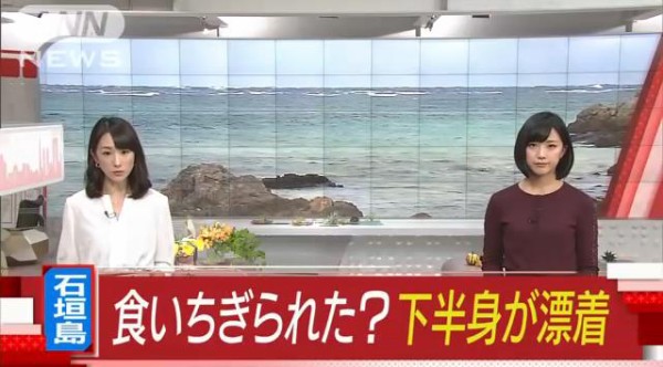 殺人犯はこいつか 鳶の羽