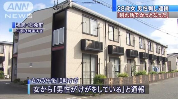 逆じゃないのか 鳶の羽