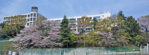 教師もバカたれ 鳶の羽