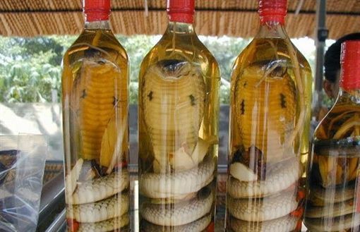 コブラ酒