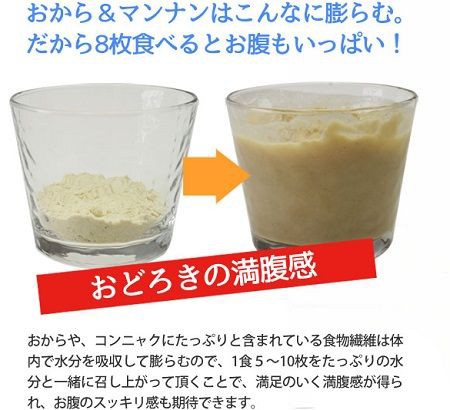 ダイエットなら豆乳おからクッキー 満腹感抜群で置き換え食にも最適１ テレビや雑誌で紹介されたイチ押しの品はこれ