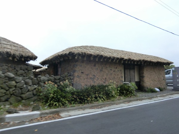 冬虫夏草〜済州島　民俗村〜 韓国済州島民族村の冬虫夏草1000g! : ngm shop - 通販 - Yahoo