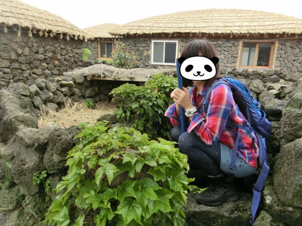 春韓国旅☆冬虫夏草を知る@済州民俗村 : りんこ☆神戸お散歩日記*・ﾟﾟ