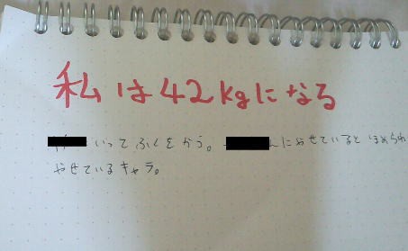 ダイエット編4 私が実際試した結果 潜在意識の法則 引き寄せの法則 再up 潜在意識の法則と私 約10年