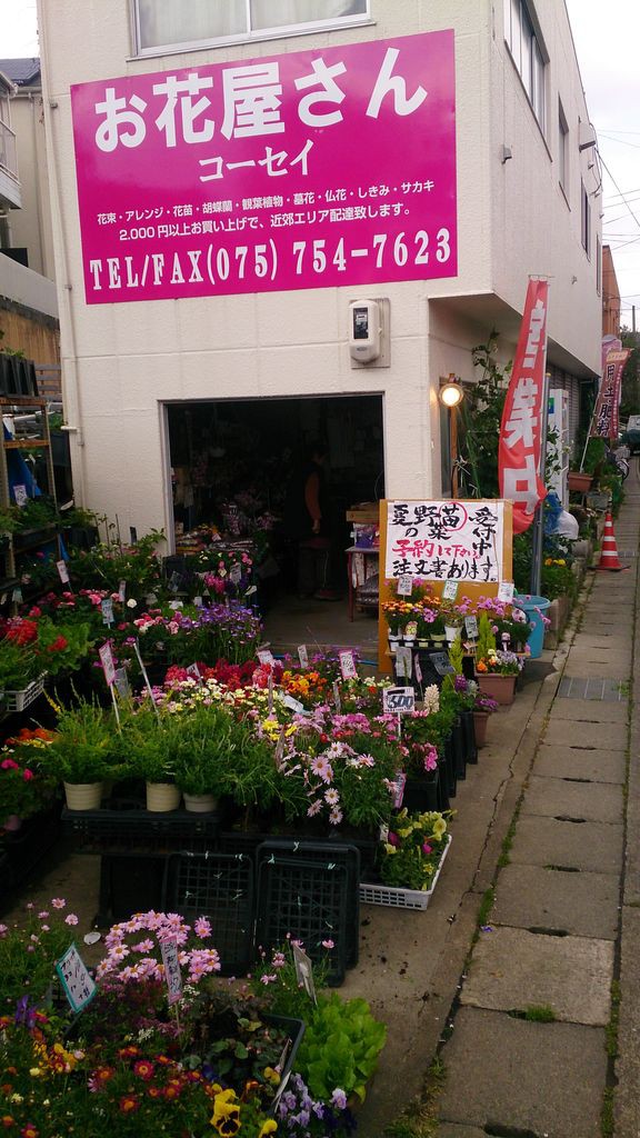 京都府向日市のお花屋さんです お花屋さん コーセイのblog 京都府向日市のお花屋さんです お花屋さん コーセイのblog