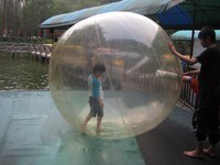 水上歩行球 こたんの日記