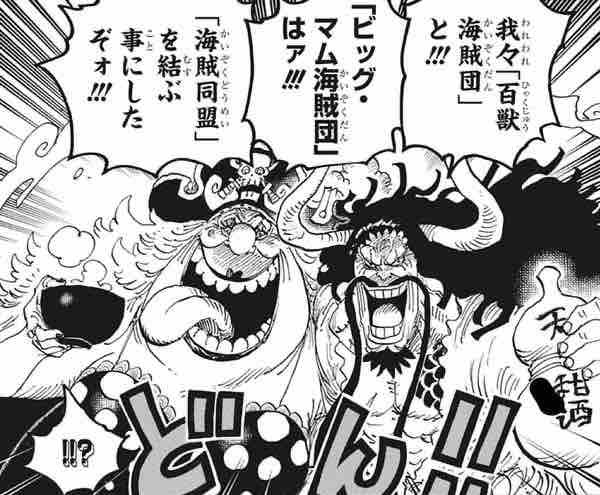 黄猿園長様 専用 カイドウ マム Www Vitaplus Com