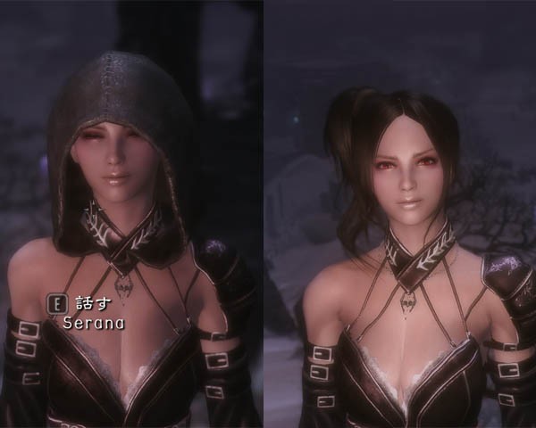 セラーナさんフード無いほうがええんとちゃいますか 真のノルドの覚え書き