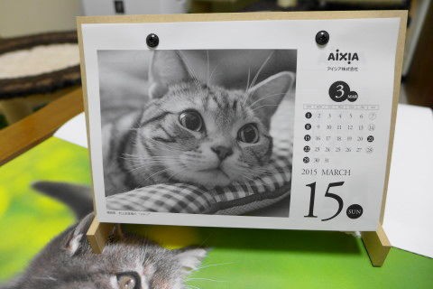 アイシア 15極楽ねこカレンダー と猫 コテツの日常