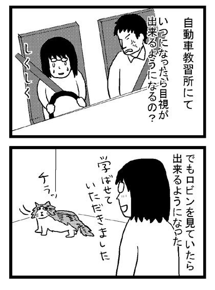 ロビン過去漫画８ こととこ