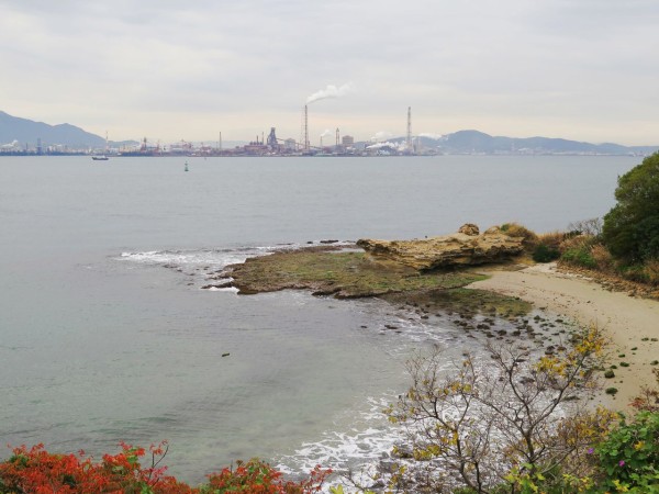 ガチョウ アヒル カモ 彦島太郎の壽印