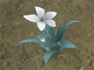 ニーア レプリカント 21 トロフィー 伝説の庭師 月光草 白 の栽培方法 色変化の組み合わせ 時間短縮方法 こつこつトロフィーコンプ