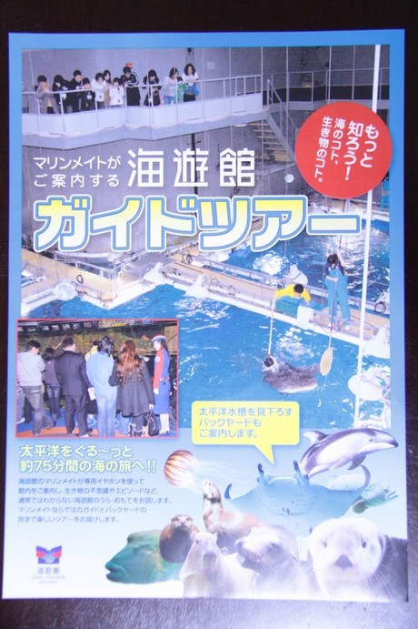 海遊館 ガイドツアーに参加してきたよ かわうそ初心者のブログ