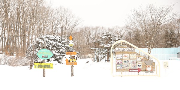 釧路市動物園 北の国からカナダカワウソ 2014 かわうそ初心者のブログ