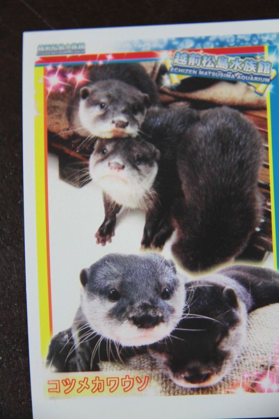 カワウソ出品 リサラーソン JIE-KERAMIK UTTER/カワウソ Lisa Larson | Kir