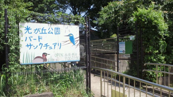 光が丘公園を探索 駐車場 バーベキュー広場 バードサンクチュアリなど 公園たんさく隊