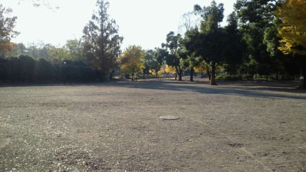 戸山公園 箱根山地区 を探索 箱根山登山 紅葉を見に 公園たんさく隊