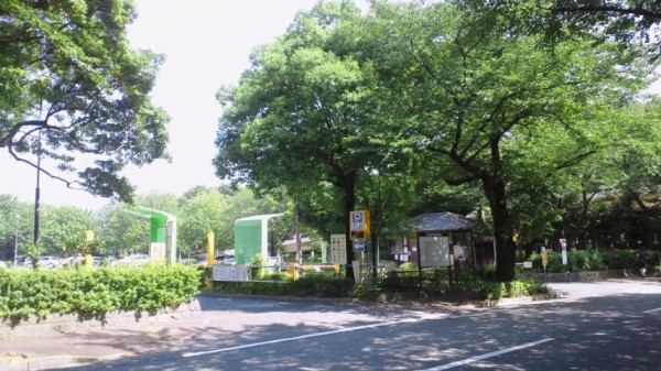 光が丘公園を探索 駐車場 バーベキュー広場 バードサンクチュアリなど 公園たんさく隊