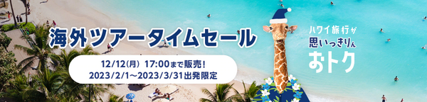 Anaツアータイムセールは12月12日まで 国内ツアー最大15 000円割引 ハワイツアー最大円割引 のクーポン配布中 Sfc修行 ときどき観光