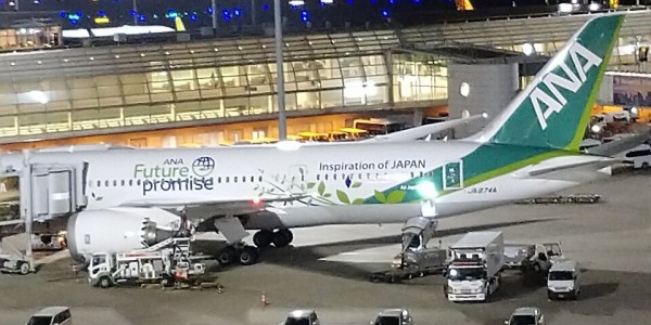 緑のANA】ANA Future Promise 特別塗装機 ＜模型＞ボーイング787