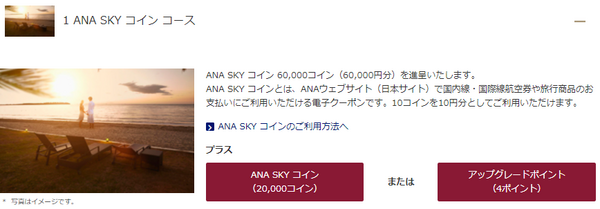 ANAダイヤモンドサービスメンバー選択式特典!おすすめの特典は ANAダイヤモンドサービスメンバー選択式特典!おすすめの特典は