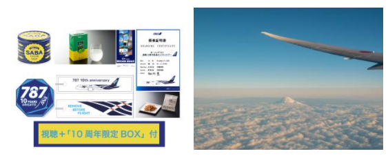 レア ANA B787就航10周年フライトタグ emob.ma